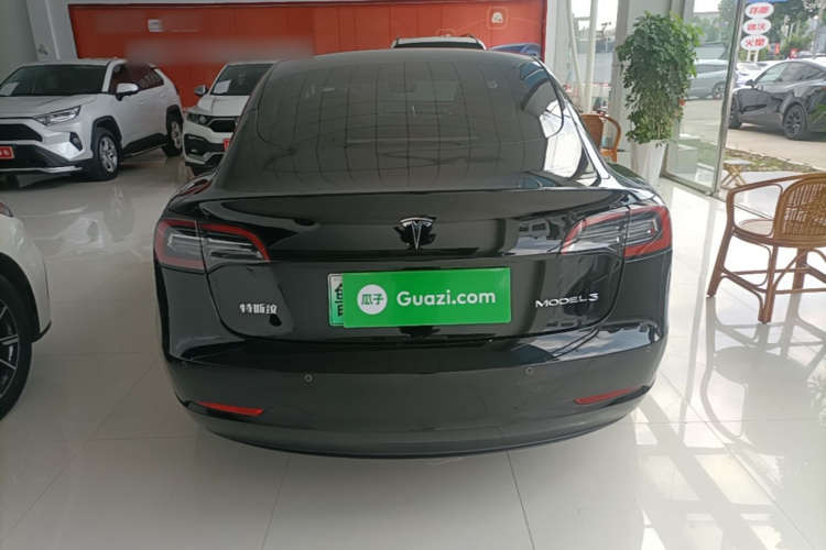 Tesla Model 3 2023 #6 Tesla Model 3 2023 car image #6