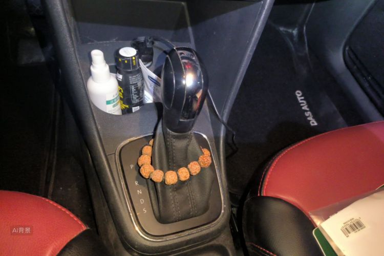 Volkswagen Polo 2017 car image #16
