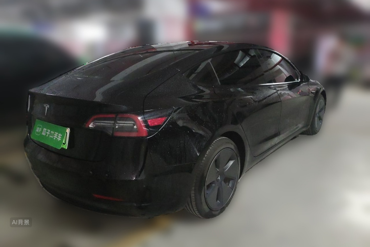 Tesla Model 3 2021 car image #7