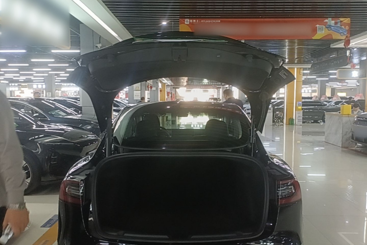 Tesla Model 3 2022 #19 Tesla Model 3 2022 car image #19