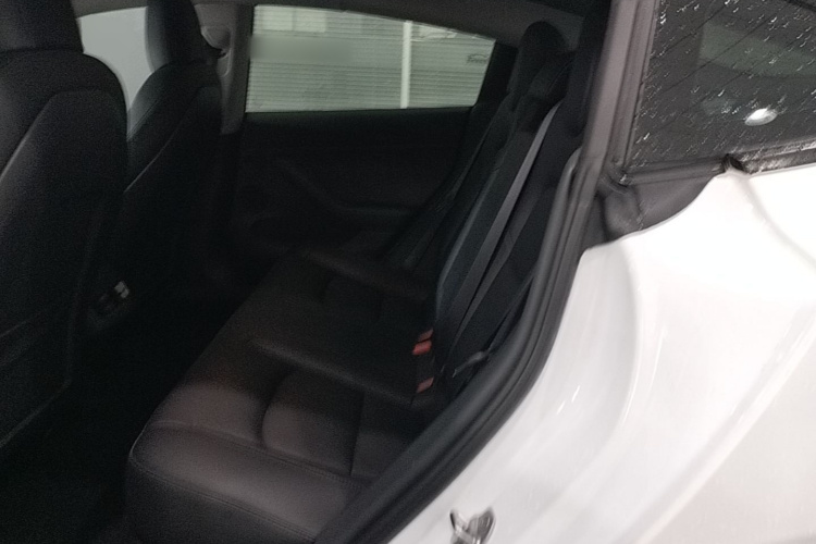 Tesla Model 3 2021 #17 Tesla Model 3 2021 car image #17