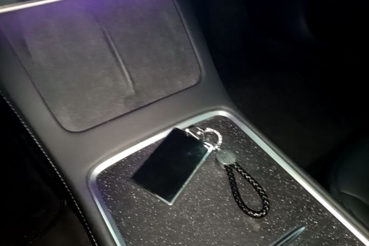 Tesla Model 3 2021 car image #15