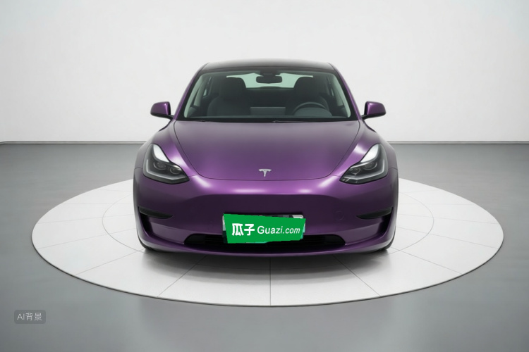 Tesla Model 3 2021 #3 Tesla Model 3 2021 car image #3