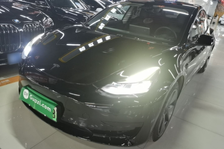 Tesla Model 3 2021 #2 Tesla Model 3 2021 car image #2