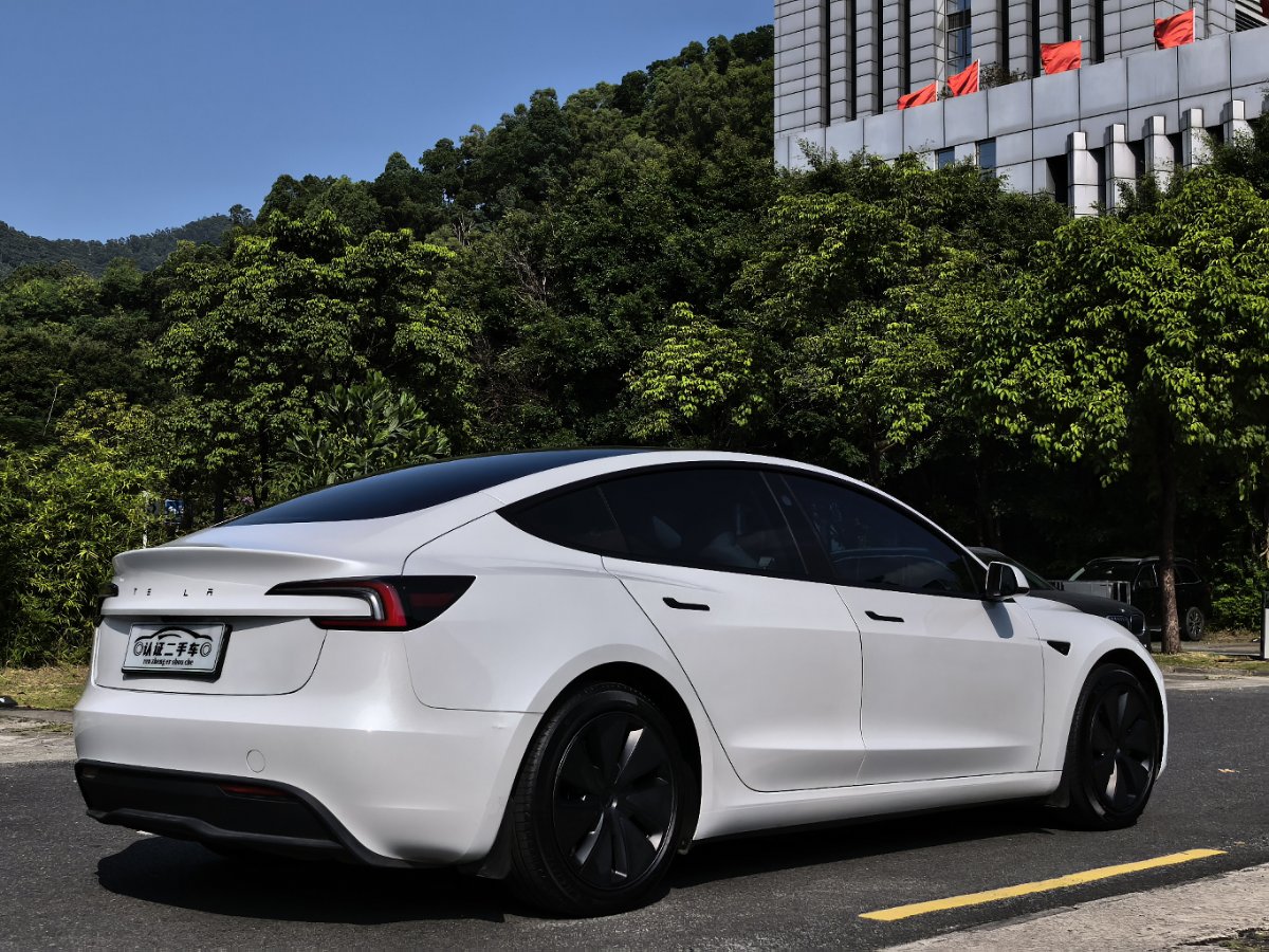 Tesla Model 3 2024 immagine di auto #10