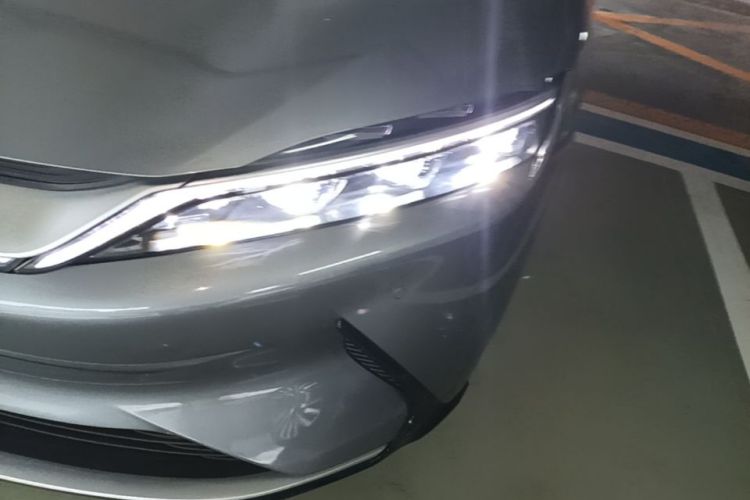 BYD Han 2022 imagen de coche #23