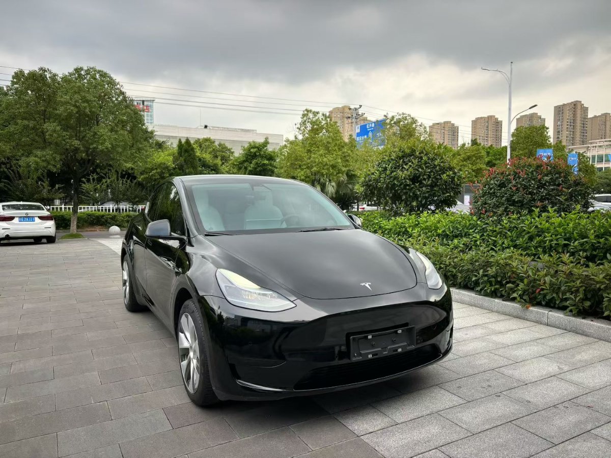 Tesla Model Y 2023 car image #3
