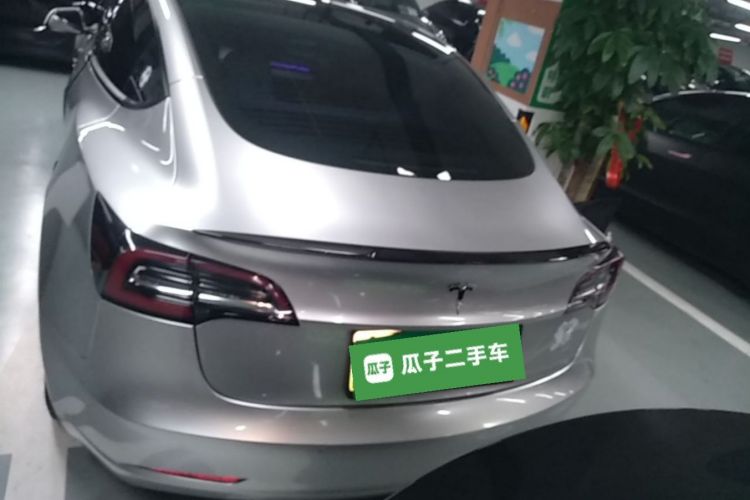 Tesla Model 3 2021 car image #6