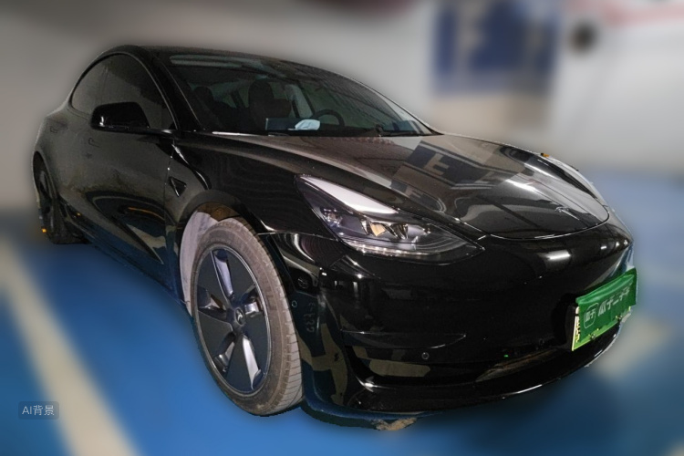 Tesla Model 3 2021 #4 Tesla Model 3 2021 car image #4