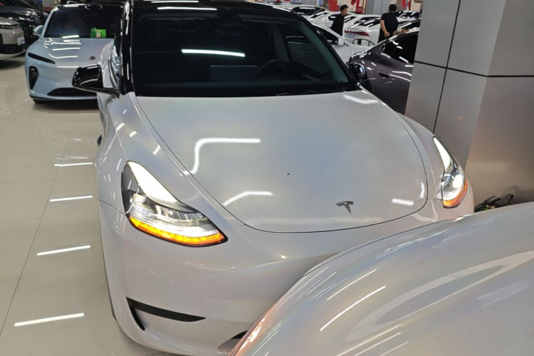 Tesla Model Y 2023 #3 Tesla Model Y 2023 car image #3