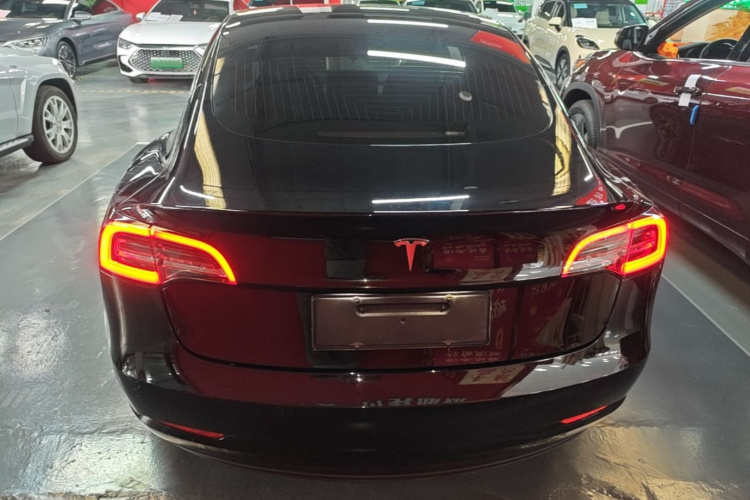 Tesla Model 3 2020 #6 Tesla Model 3 2020 car image #6