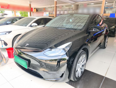 Tesla Model Y 2022 Tesla Model Y 2022 immagine di auto