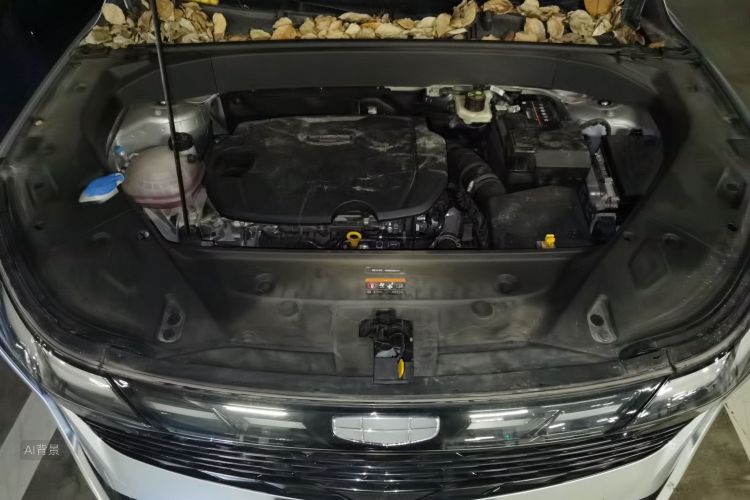 GEELY Boyue L 2024 image de voiture #22