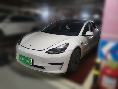 Tesla Model 3 2022 Tesla Model 3 2022 car image