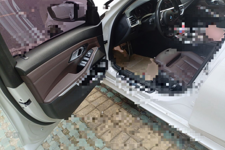 BMW 3 Series 2019 car image #18