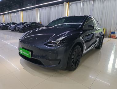 Tesla Model Y 2025 car image 