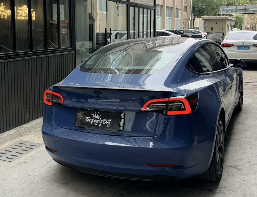 Tesla Model 3 2021 #3 Tesla Model 3 2021 car image #3