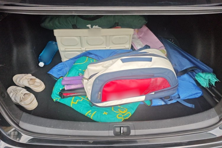 Toyota Corolla 2019 car image #21