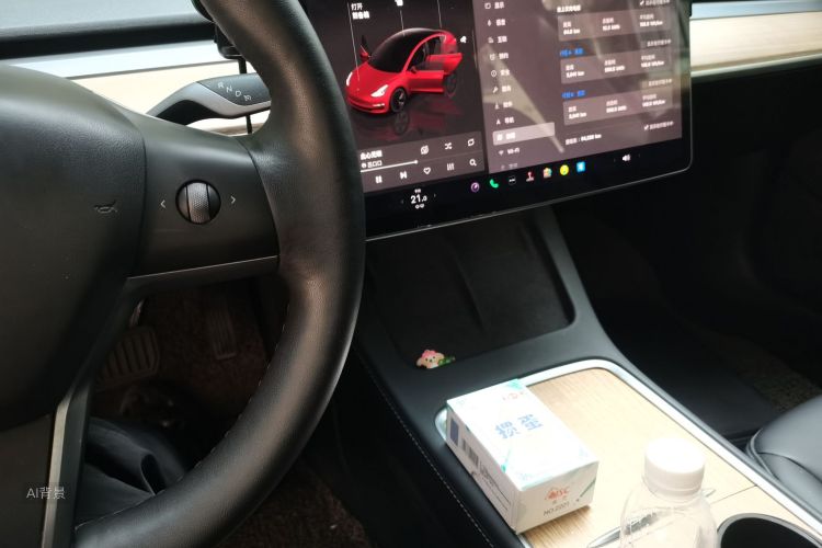 Tesla Model 3 2022 car image #16