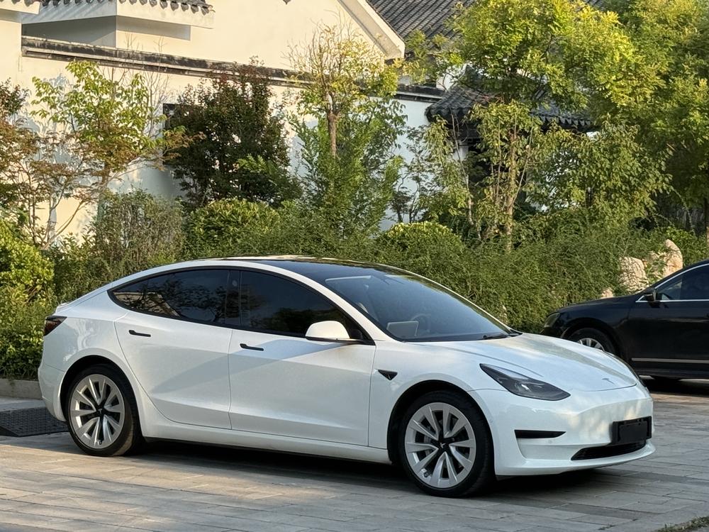 Tesla Model 3 2021 car image #3
