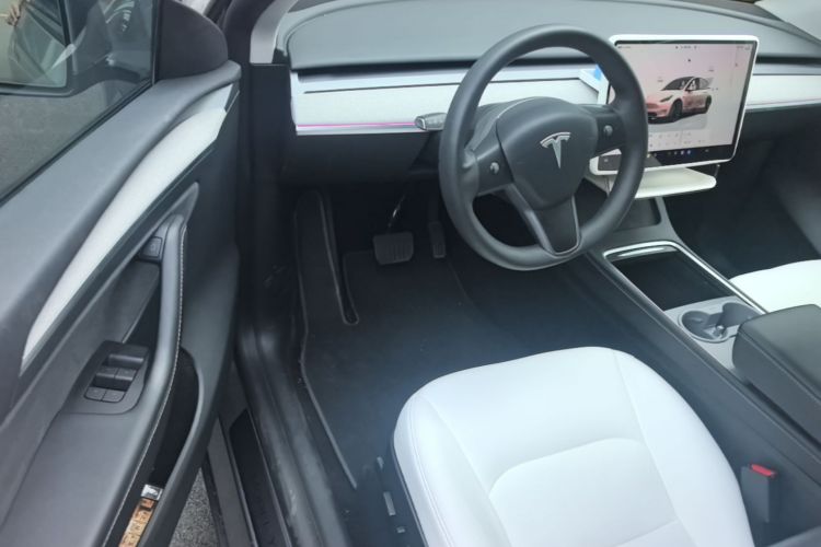 Tesla Model Y 2024 car image #16