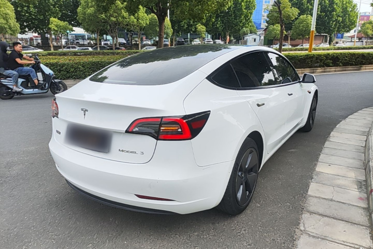 Tesla Model 3 2023 #7 Tesla Model 3 2023 car image #7