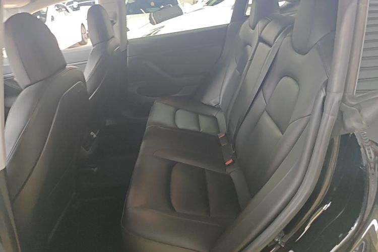 Tesla Model 3 2020 car image #17