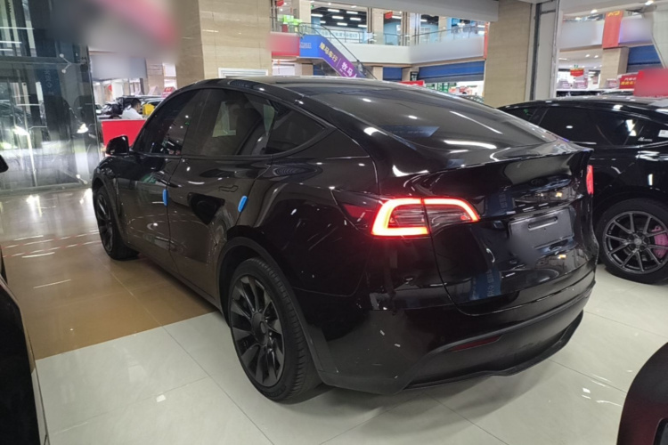 Tesla Model Y 2023 #7 Tesla Model Y 2023 car image #7