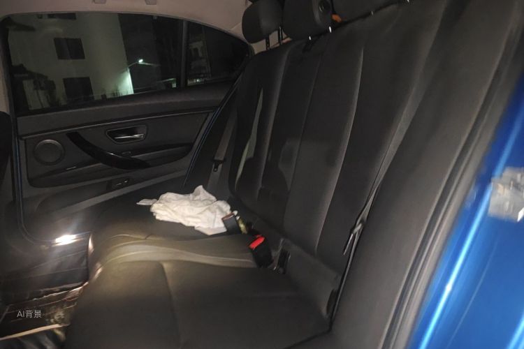 BMW 3 Series 2017 car image #19
