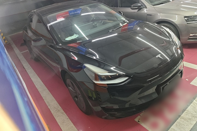 Tesla Model 3 2021 car image #4