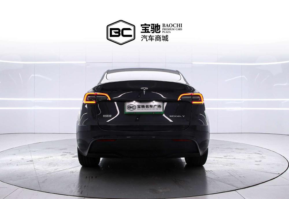 Tesla Model Y 2024 immagine di auto #3