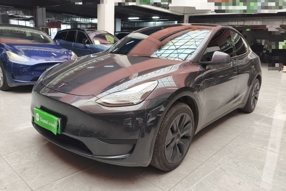 Tesla Model Y 2024 car image 