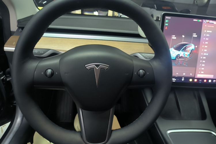 Tesla Model 3 2022 #11 Tesla Model 3 2022 car image #11