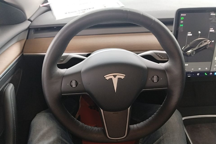 Tesla Model 3 2021 #15 Tesla Model 3 2021 car image #15