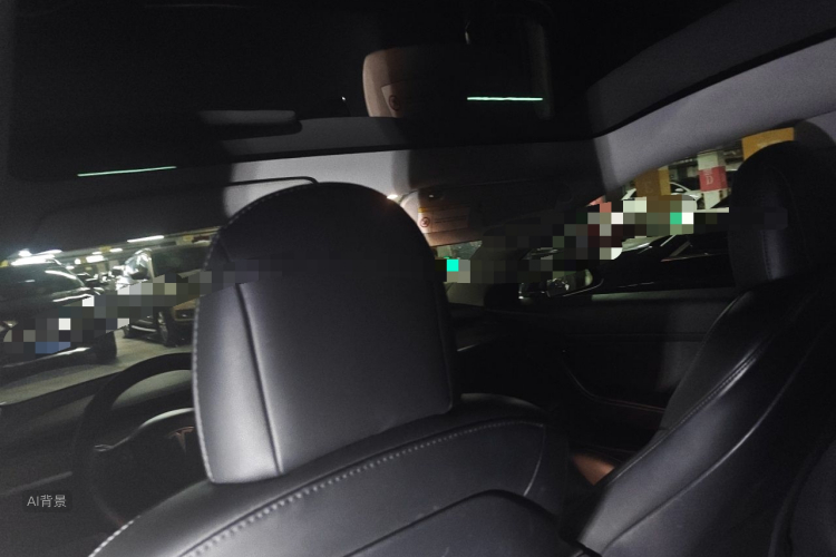 Tesla Model 3 2020 #20 Tesla Model 3 2020 car image #20