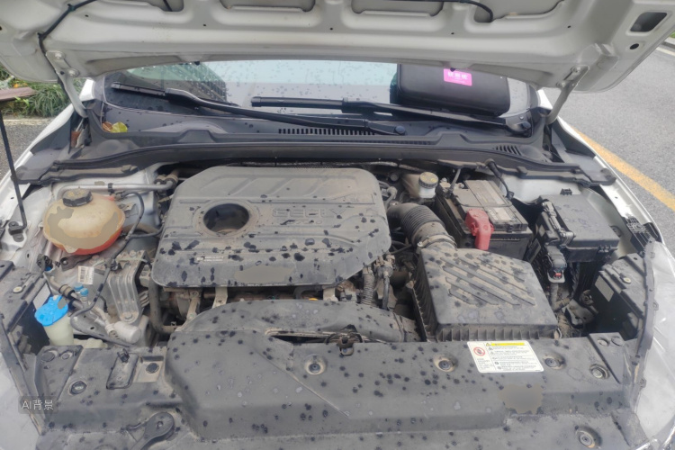 GEELY Emgrand GL 2021 imagem de carro #22