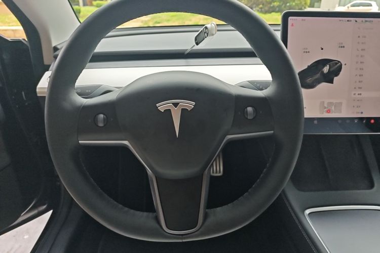 Tesla Model 3 2021 car image #11