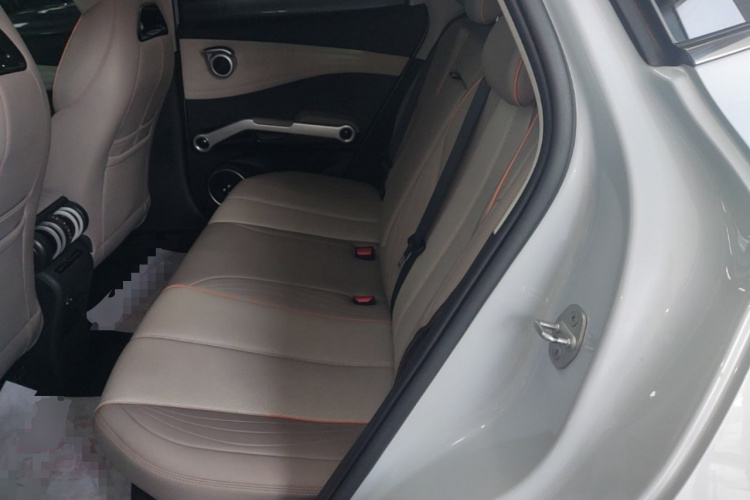 BYD Yuan Plus 2023 car image #17