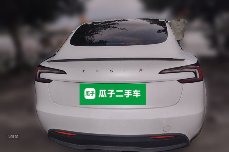 Tesla Model 3 2025 car image #6