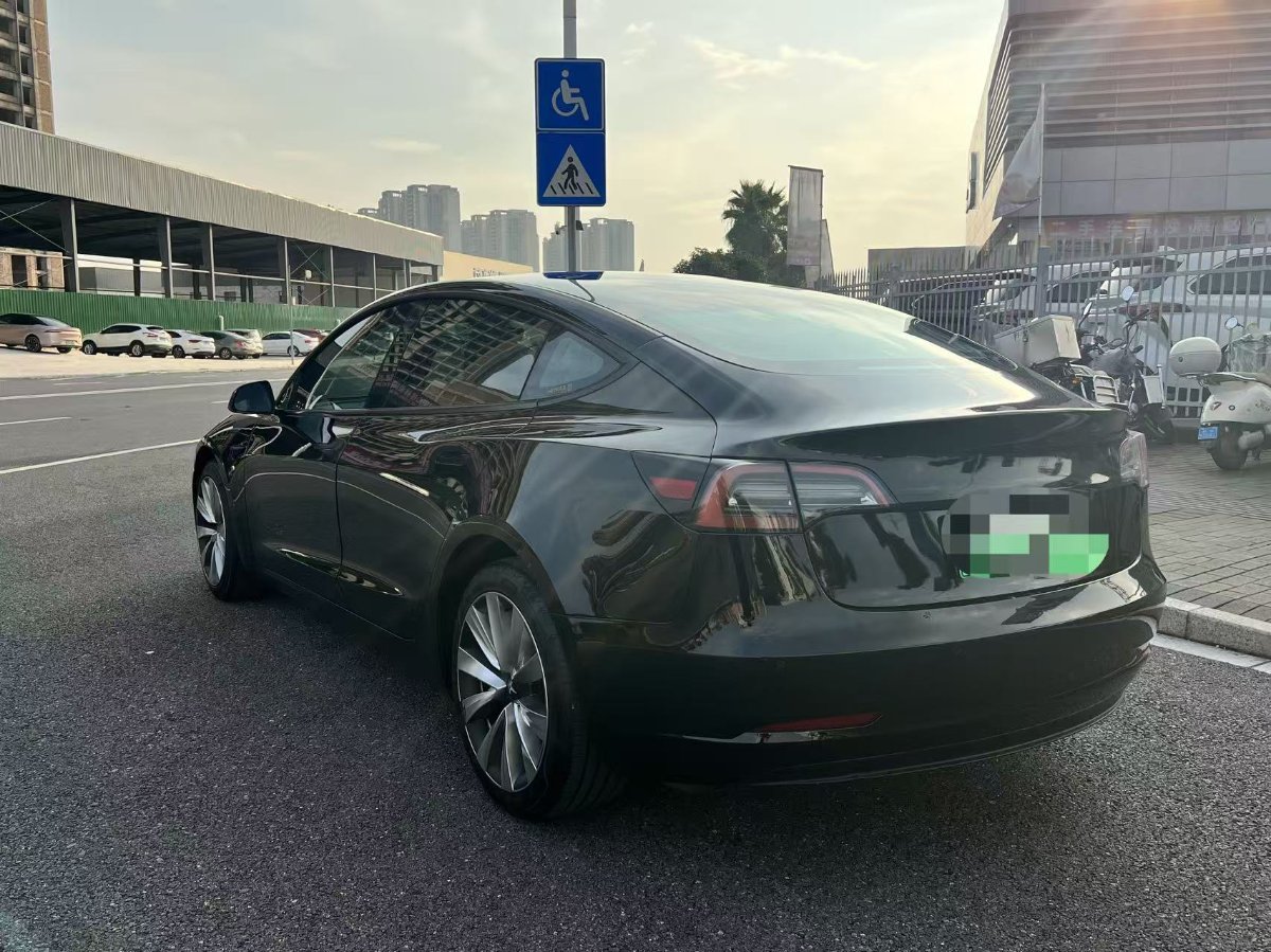 Tesla Model 3 2022 car image #8