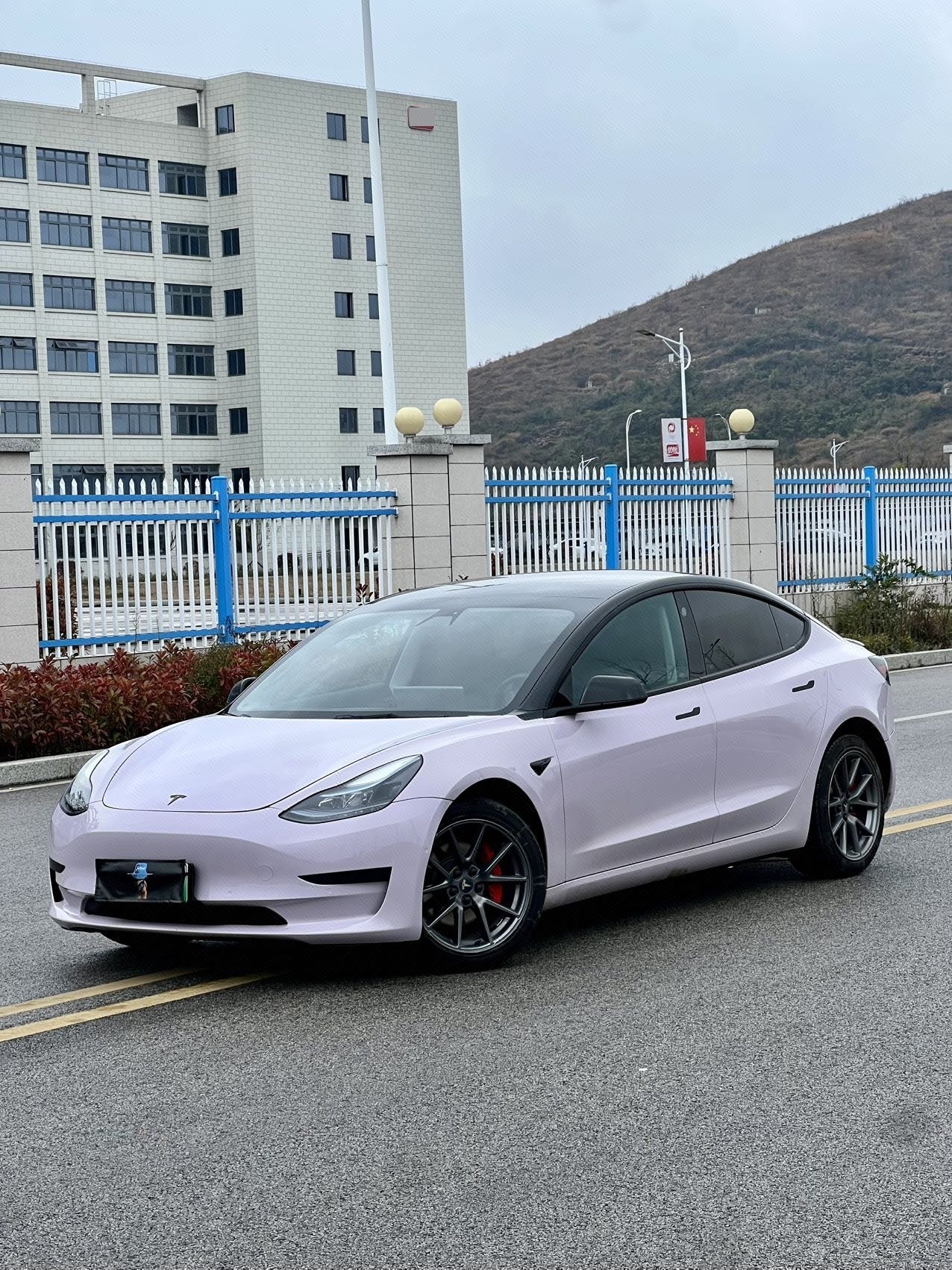 Tesla Model 3 2021 Tesla Model 3 2021 car image