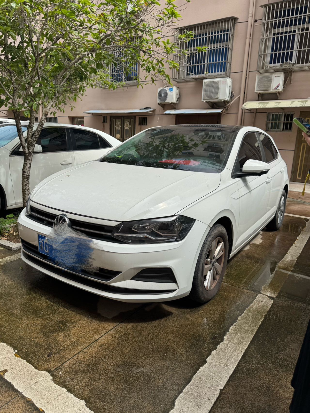 Volkswagen Polo 2023 Volkswagen Polo 2023 car image