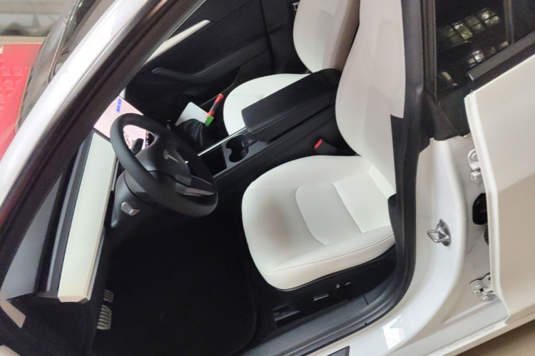 Tesla Model 3 2021 car image #19