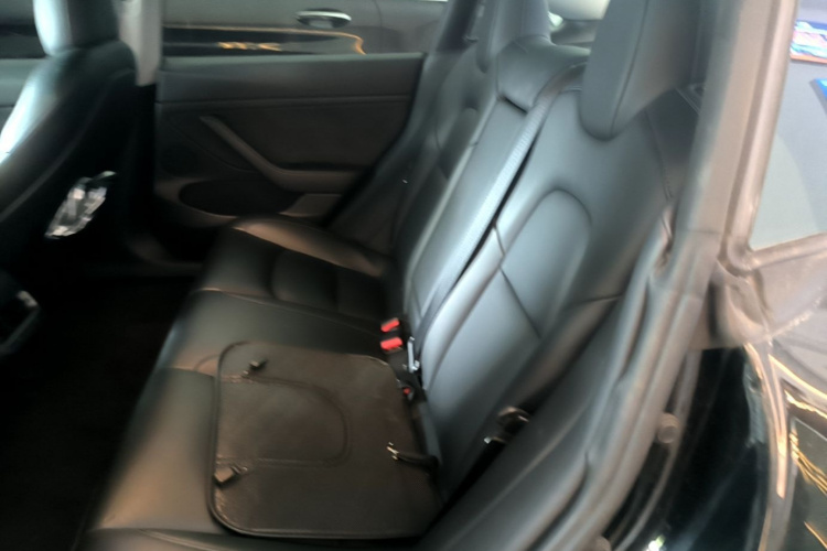 Tesla Model 3 2021 #17 Tesla Model 3 2021 car image #17