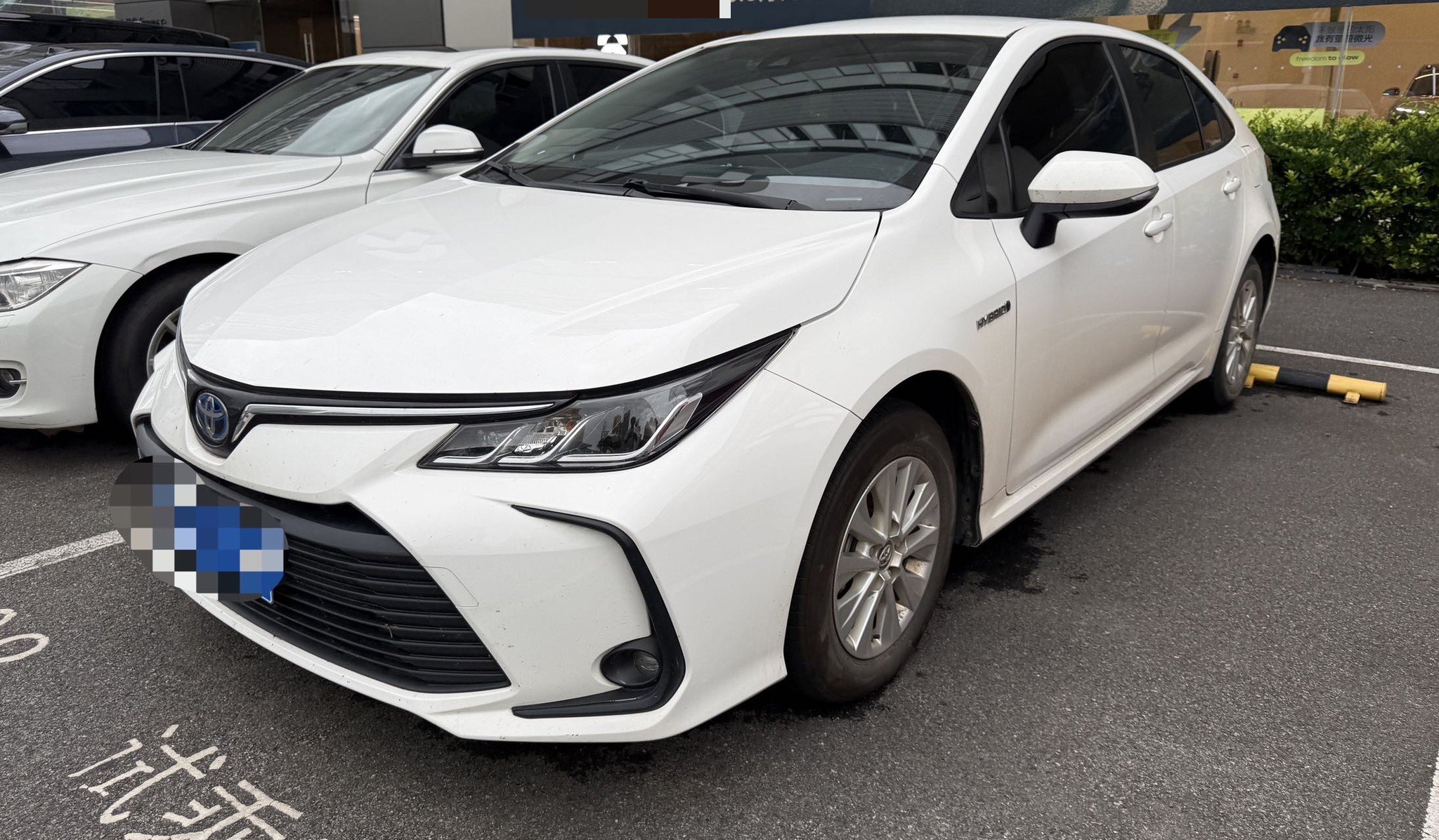 Toyota Corolla 2022 Toyota Corolla 2022 car image