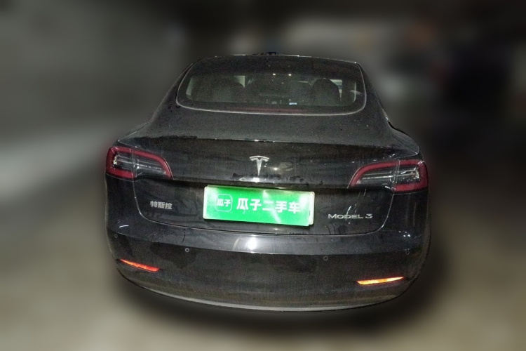 Tesla Model 3 2021 #4 Tesla Model 3 2021 immagine di auto #4