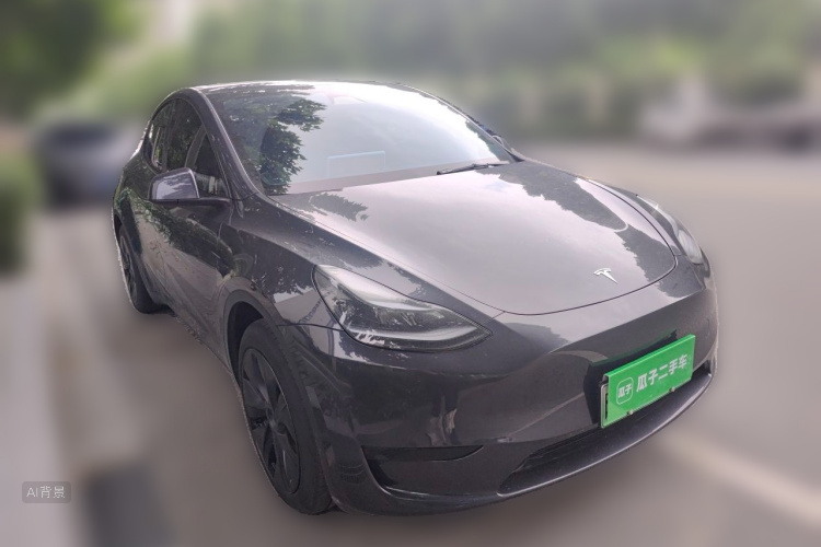 Tesla Model Y 2024 car image #4