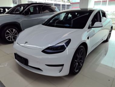 Tesla Model 3 2023 car image 