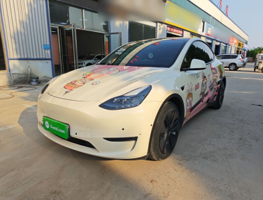 Tesla Model Y 2021 car image 