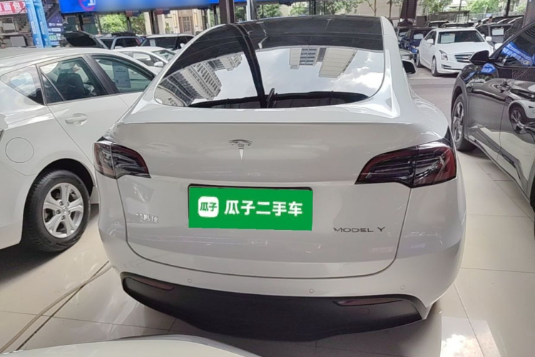 Tesla Model Y 2021 car image #6